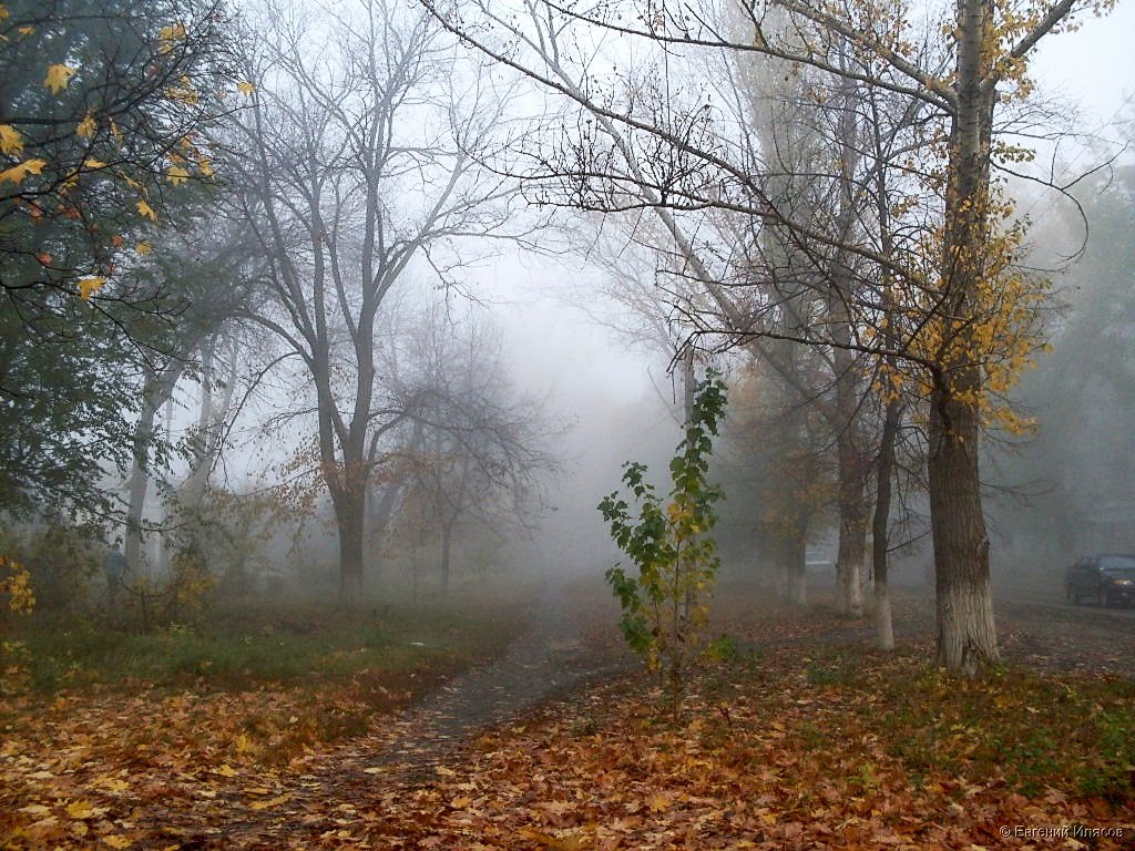 Осенняя аллея., Балашов