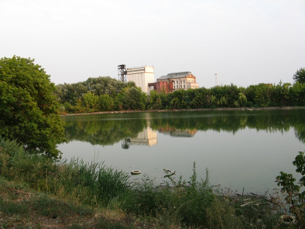 Купзаводской пруд, Екатериновка