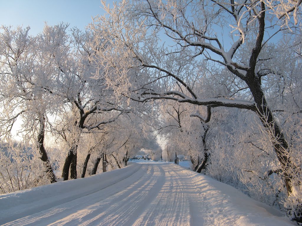 Морозный день, Екатериновка