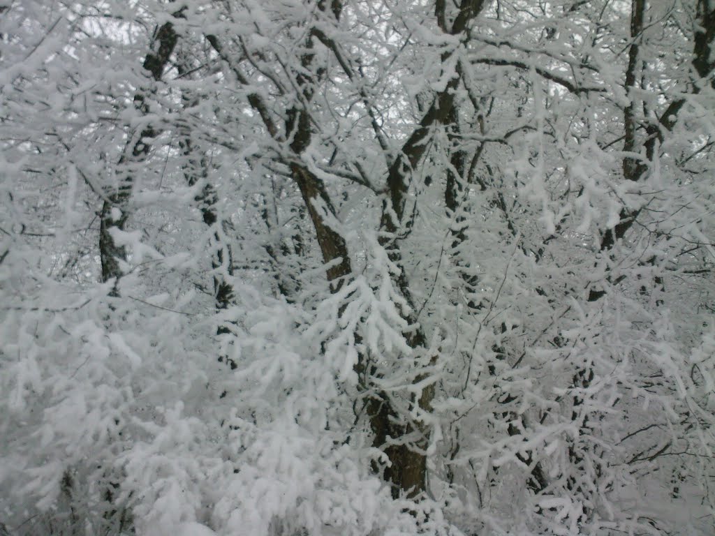 Калининск РЭС февраль 2009, Калининск