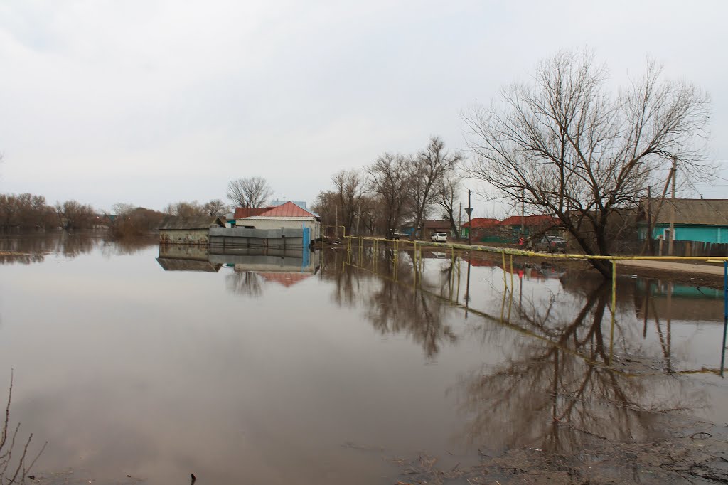 Розлив реки 2012, Калининск