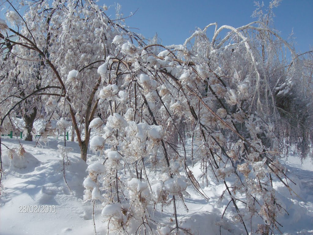 Поздняя зима, Красноармейск