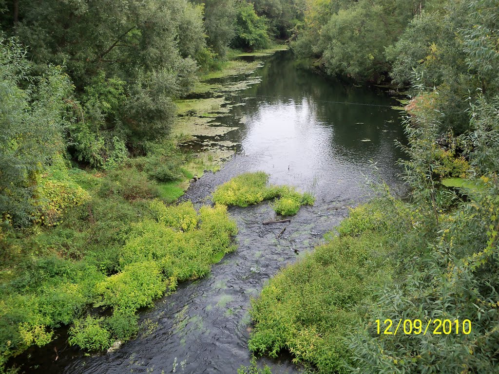 Река Медведица, Петровск