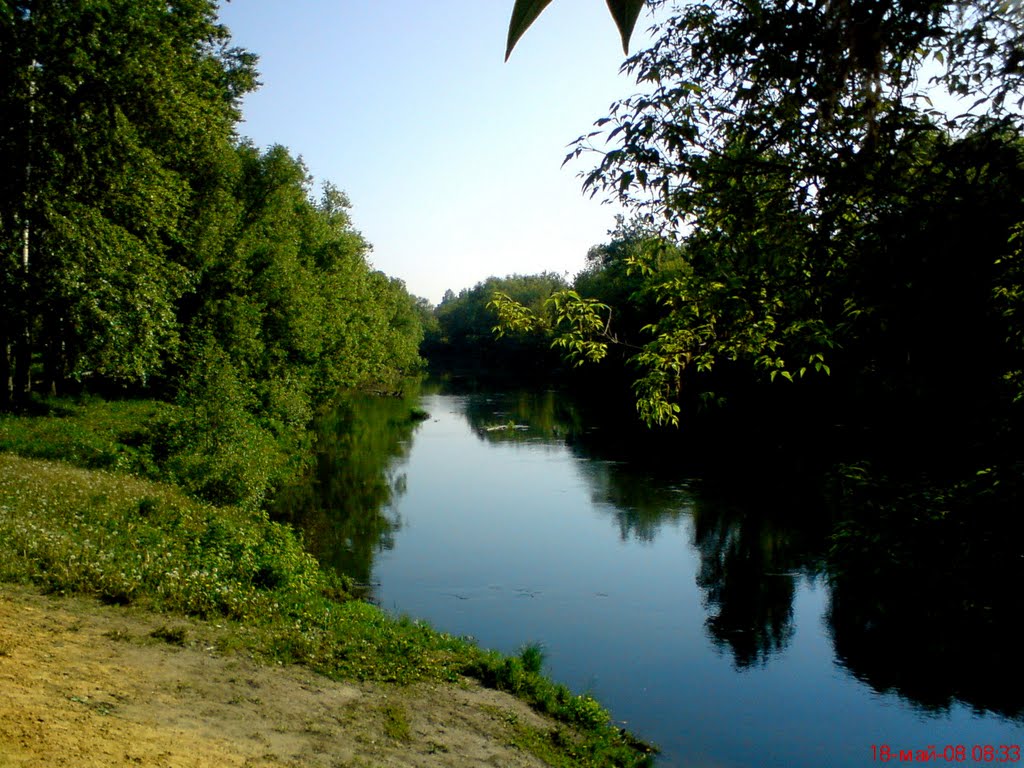 Река Медведица в городском парке, Петровск