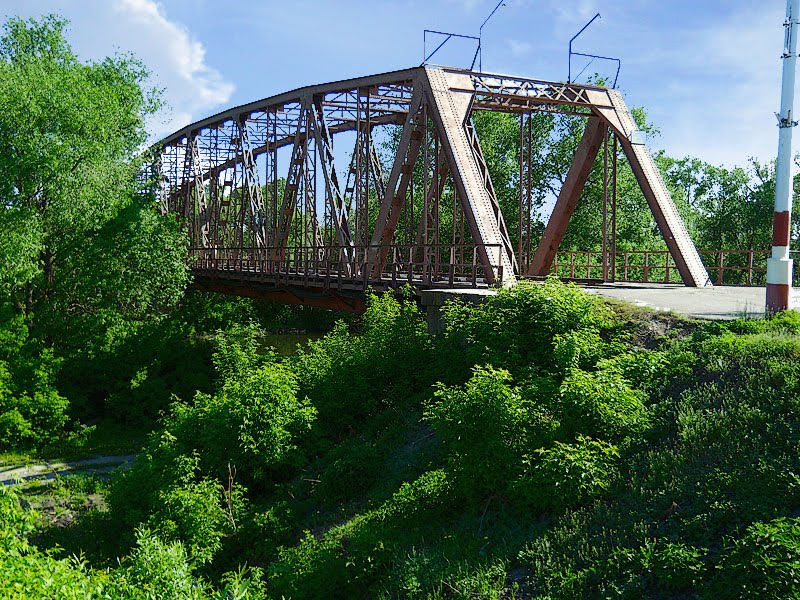 мост через Медведицу, Петровск