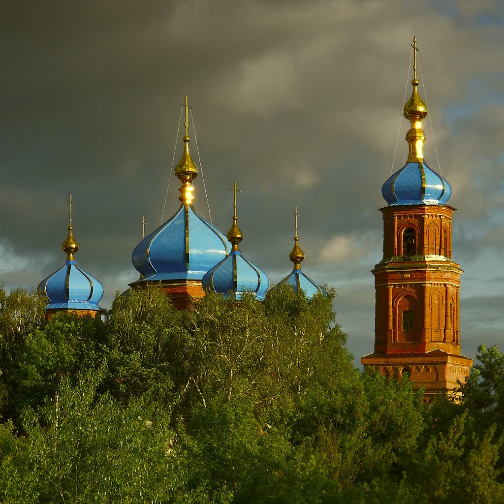 Собор Покрова Пресвятой Богородицы, Петровск