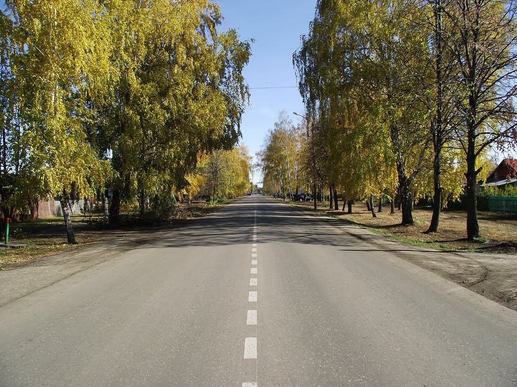 Улица осенью, Ртищево