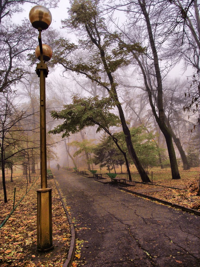 Autumn, Fog in park, Саратов