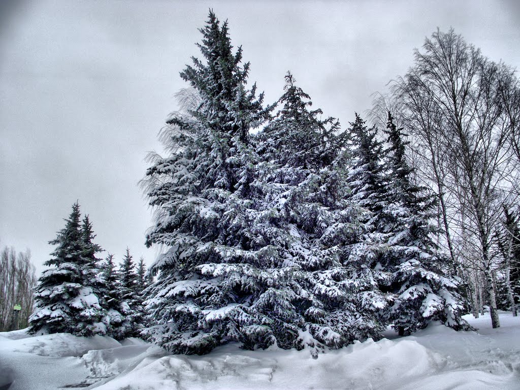 Viktory park, winter, Саратов