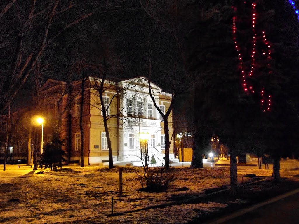 Night Saratov, Radishev museum, Саратов
