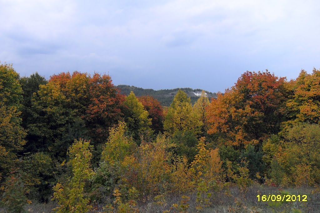 Осенний разноцвет, Хвалынск