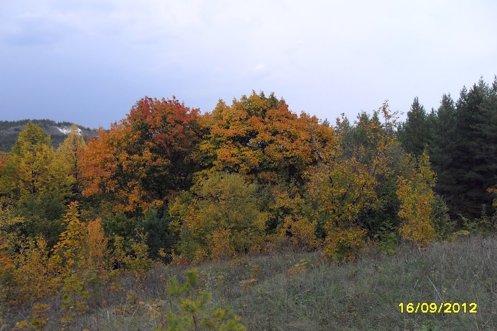 Хвалынская осень, Хвалынск