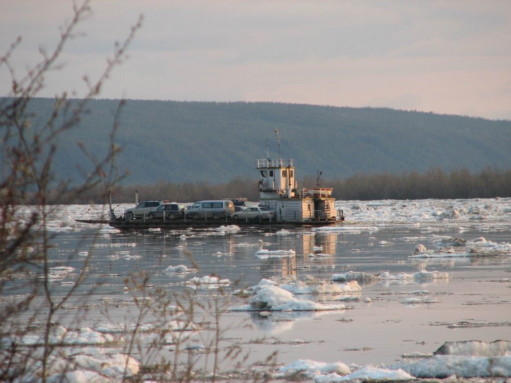 Russia, Lena River. Ferry near Kachikattsy, Бестях