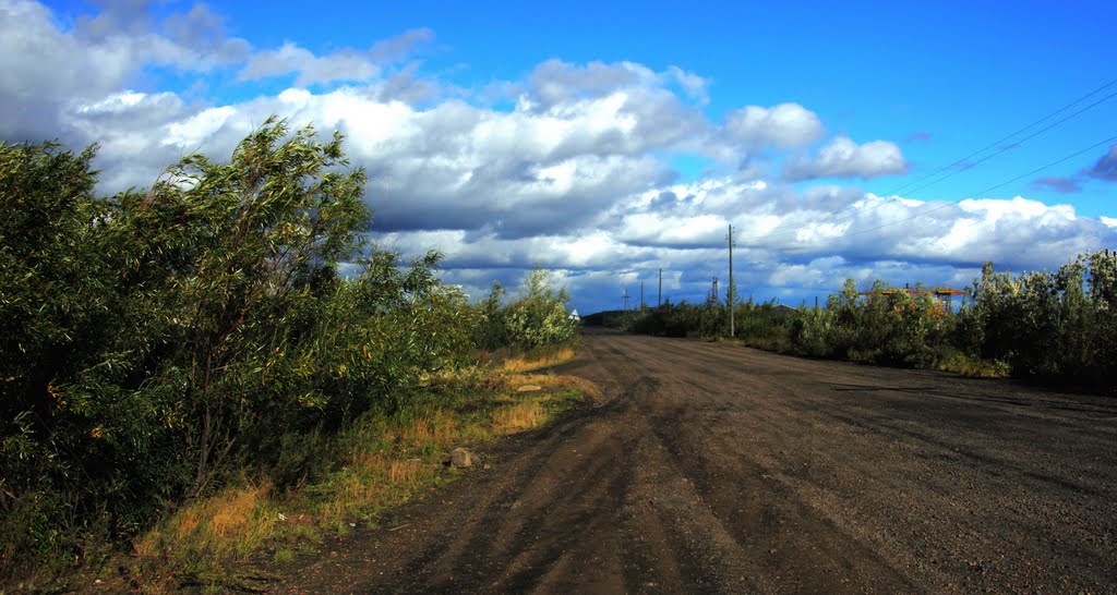 Дорога со 2-го км до Зырянки, Верхнеколымск