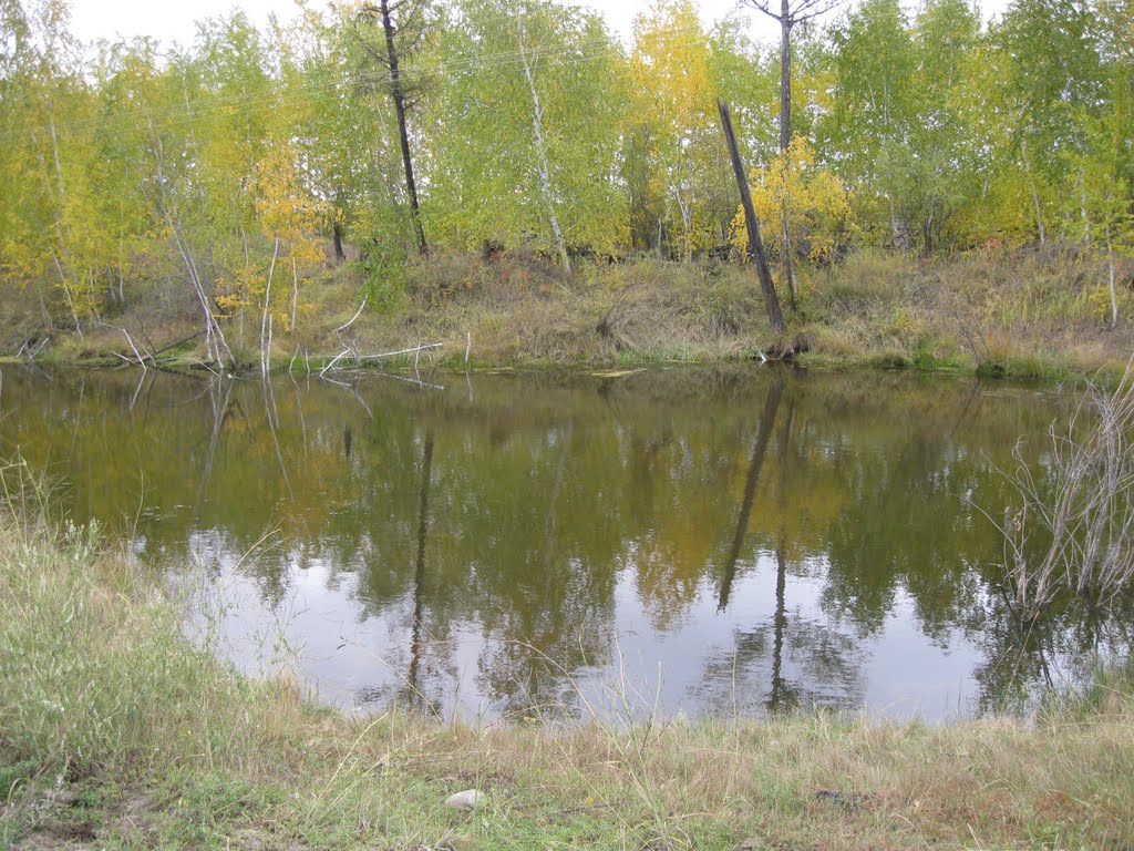 Придорожное озеро, сентябрь (Якутия), Майя