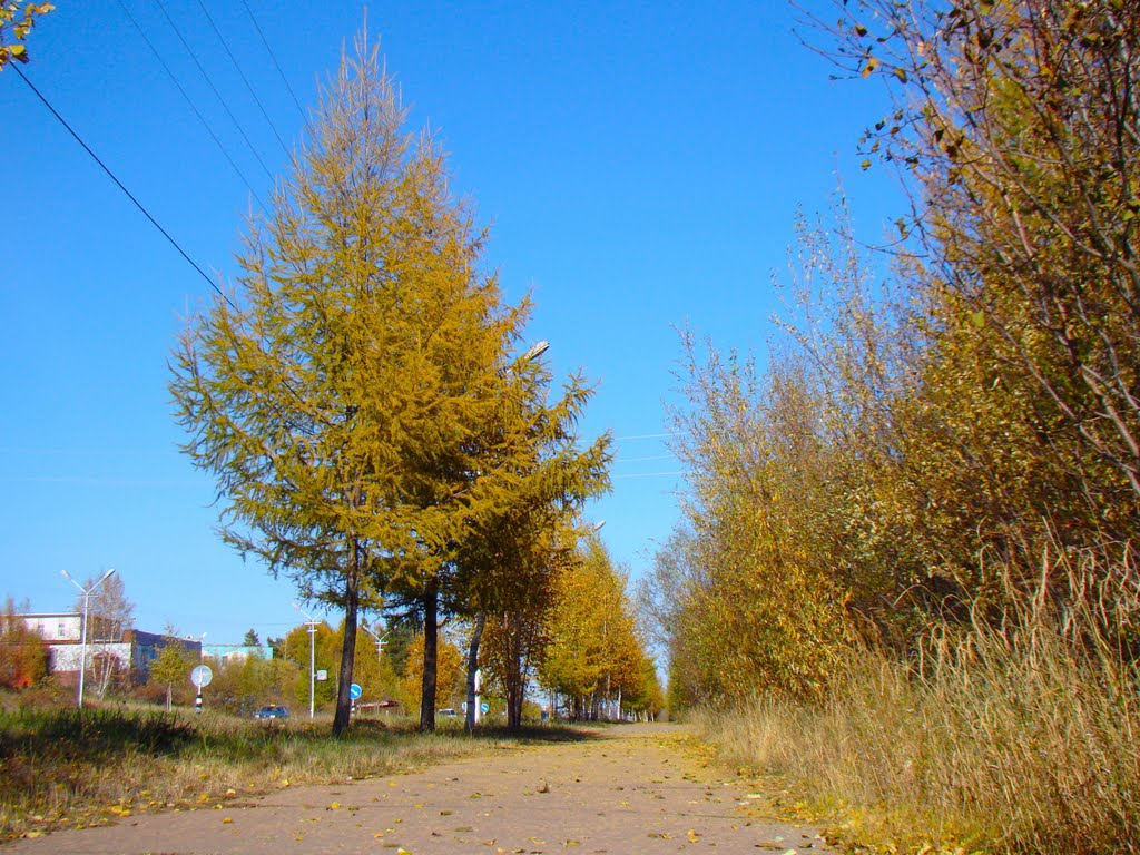 Осень. Тротуар, Нерюнгри