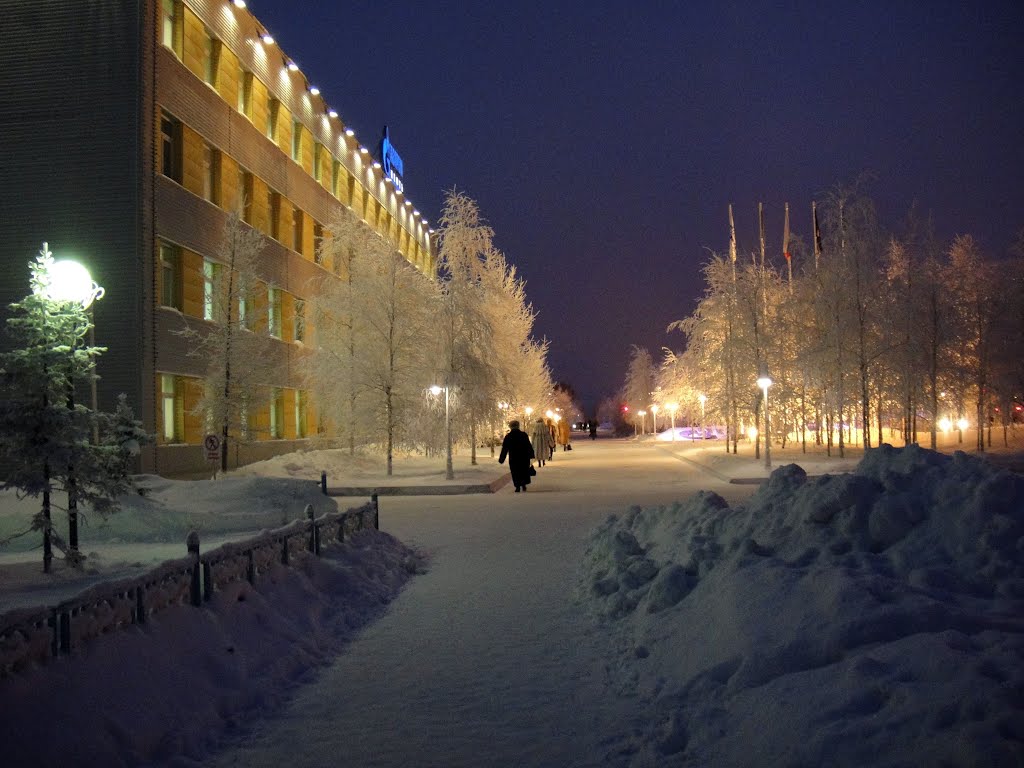 Муравленко зимнее утро 2011-12, Муравленко
