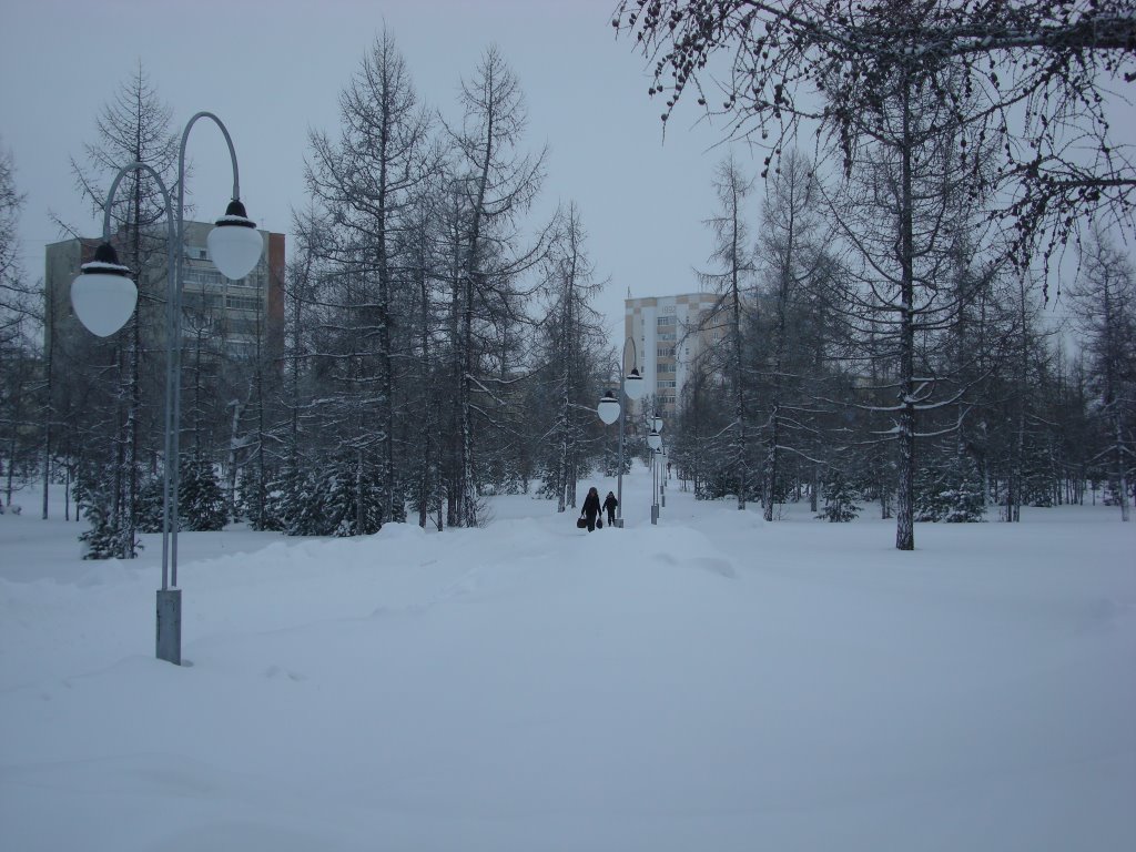 парк Зимой, Надым