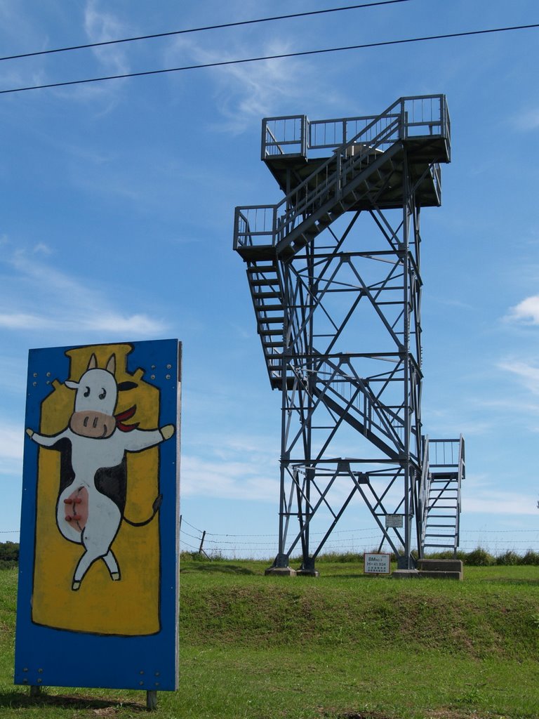 新酪農村展望台 Observation tower of New Dairy Village, Южно-Курильск