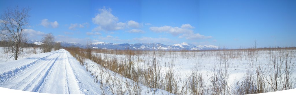 Олег Мамаев сделал 10 марта ещё одну панорамку с горами. Это в р-не Забайкальца (км 5-8 на север от Леонидово)., Смирных
