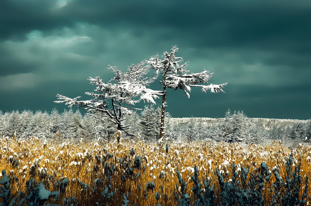 Первый снег 2005г, Углегорск