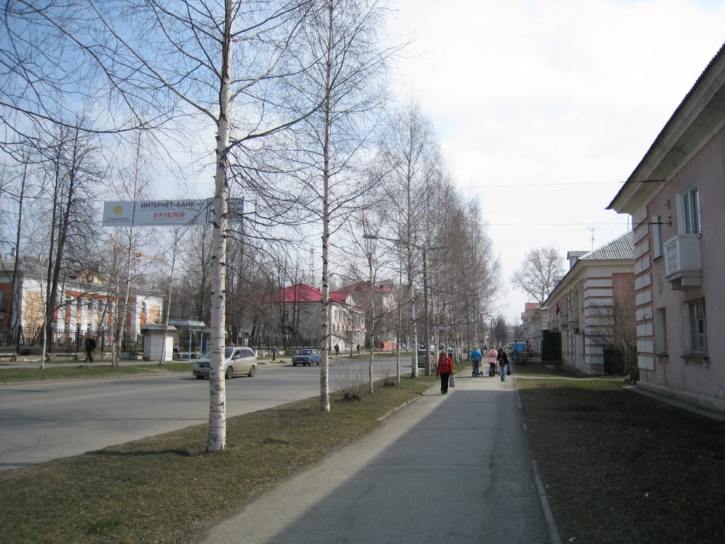 Вид на исторический центр города (2009), Лесной