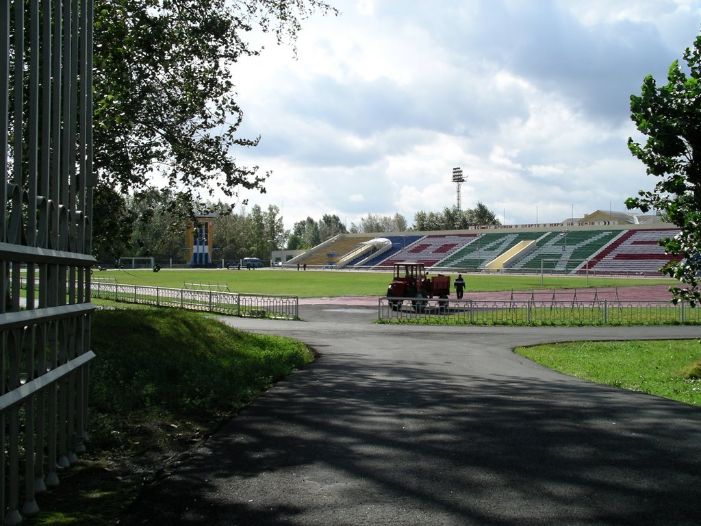 Стадион "Факел" (2007), Лесной