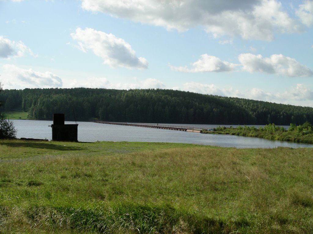 Вид на пруд (2007), Лесной