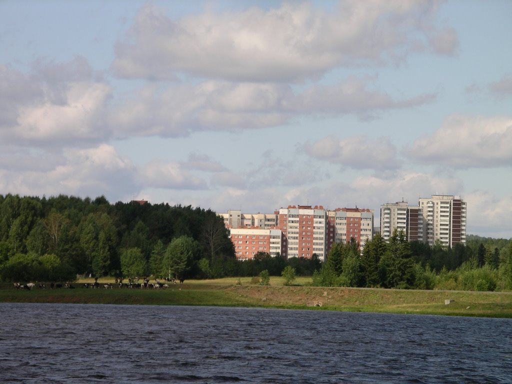 Вид с моста на новый район (2007), Лесной