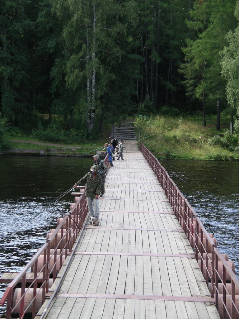 Рыбаки на мосту (2007), Лесной
