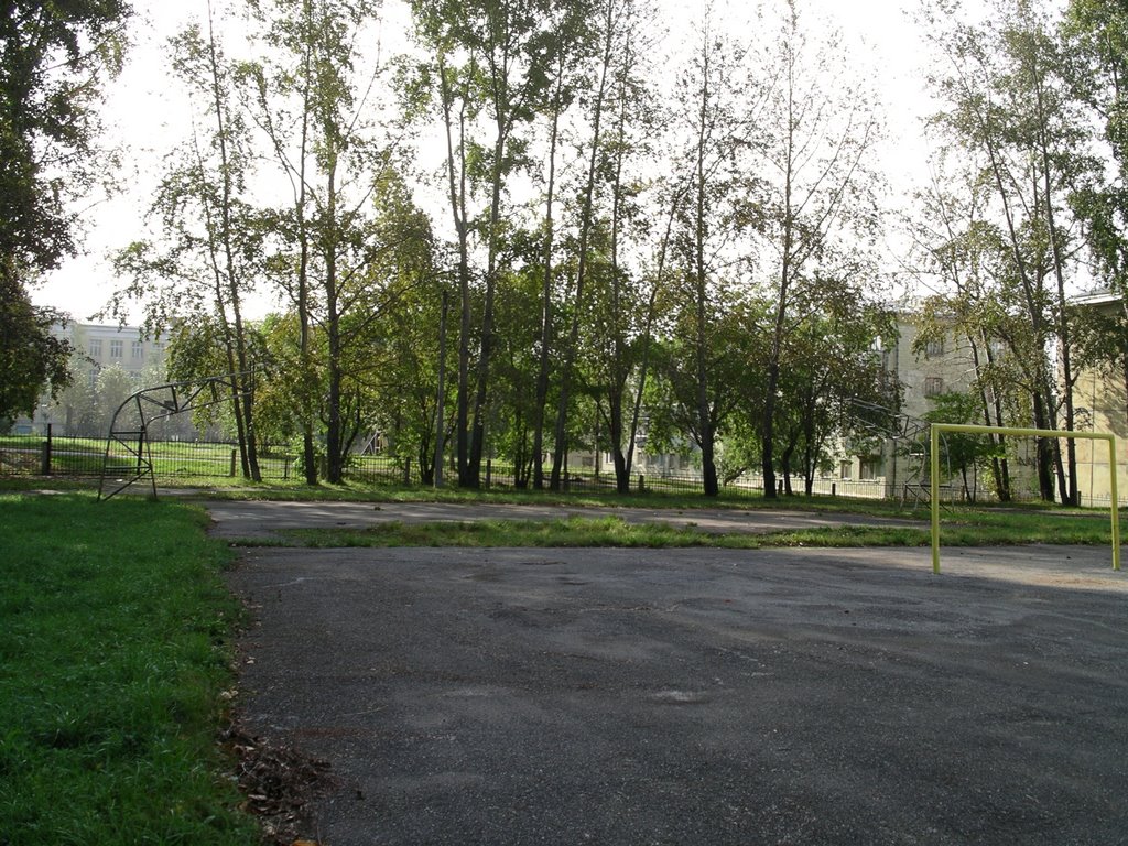 Стадион школы №71 (2007), Лесной