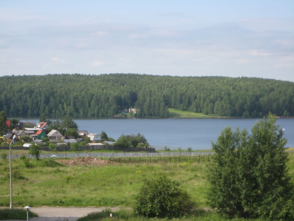 Вид на пруд, Лесной