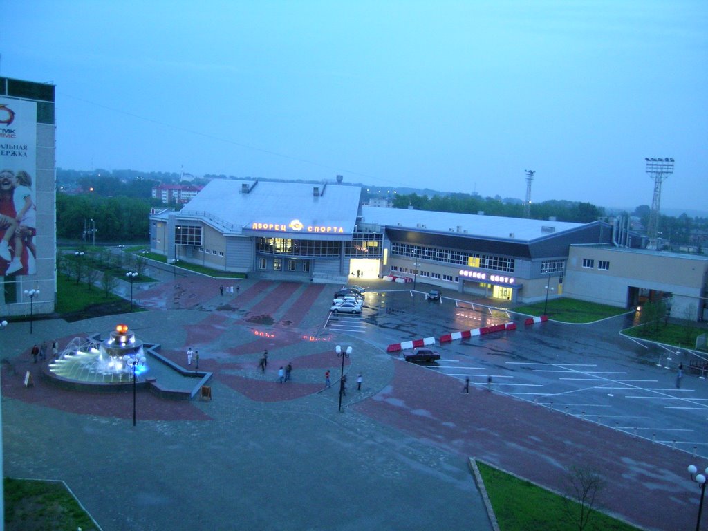 Вид на Дворец спорта УГМК/The view of Sport Palace UMMC, Верхняя Пышма