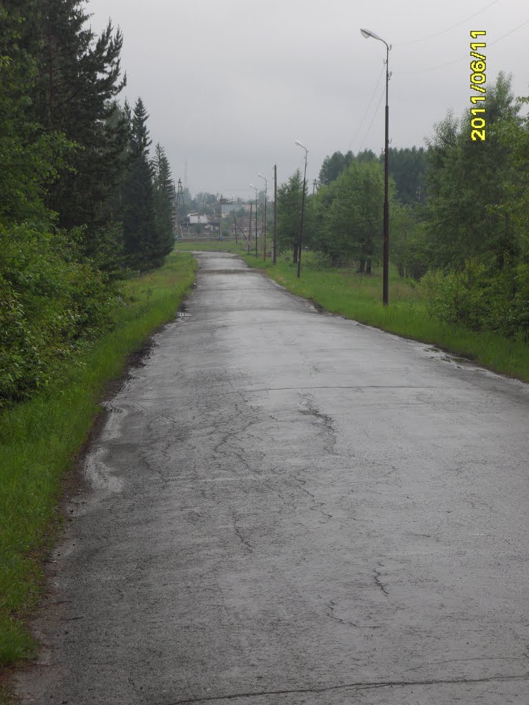 дорога в город, Волчанск