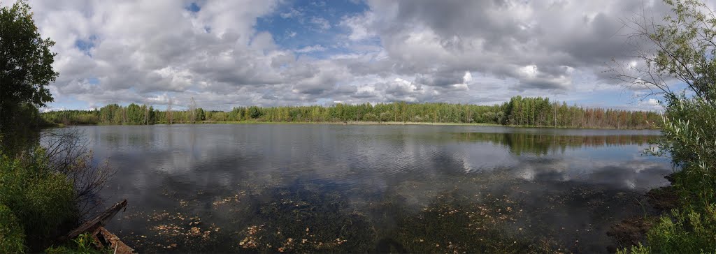 Озерцо возле п. Воронцовка, Воронцовка