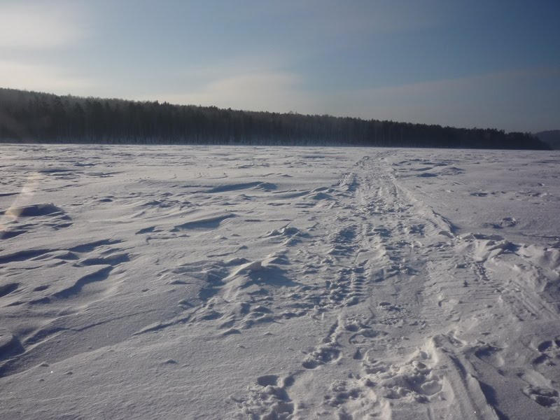 Замерший пруд, Дегтярск