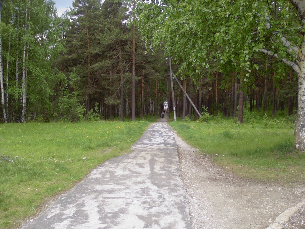 Дорожка к городскому пруду, Дегтярск