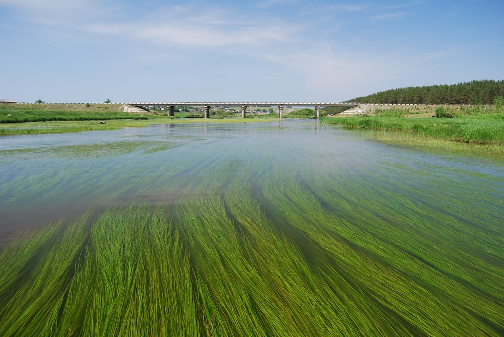река Нейва, автомобильный мост в деревне Устьянчики, Зыряновский