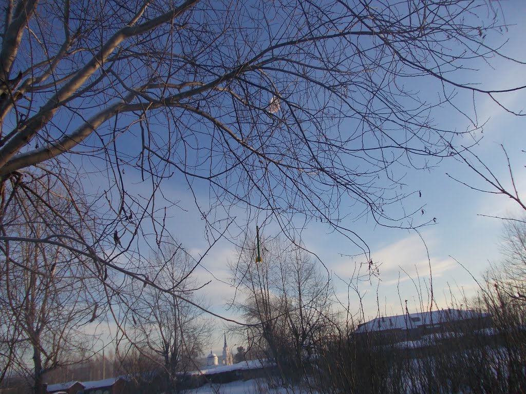 Ракета "Тайга-2". Посадка на дерево (после второго полета), Карпинск