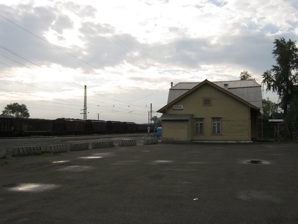 Вокзал, ст. Нова Ляля, 2010., Новая Ляля