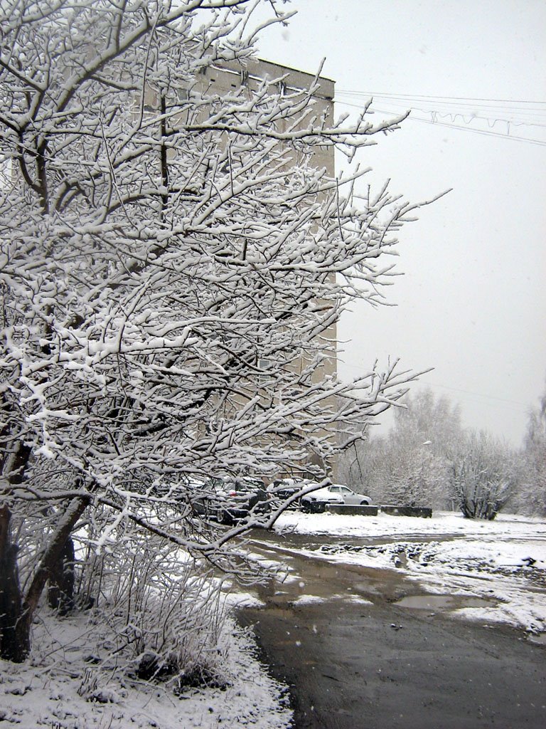 Первомайская пурга. Двор на Советской. Snowstorm on May 1, 2009. Sovetskaya str., Первоуральск