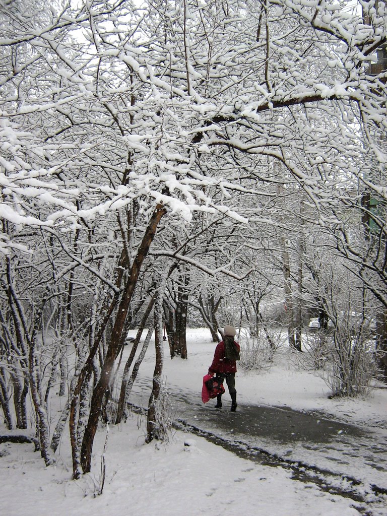Первомайская пурга. Единственный островок цвета в черно-белом мире. Snowstorm on May 1, 2009. The only coloured spot, Первоуральск