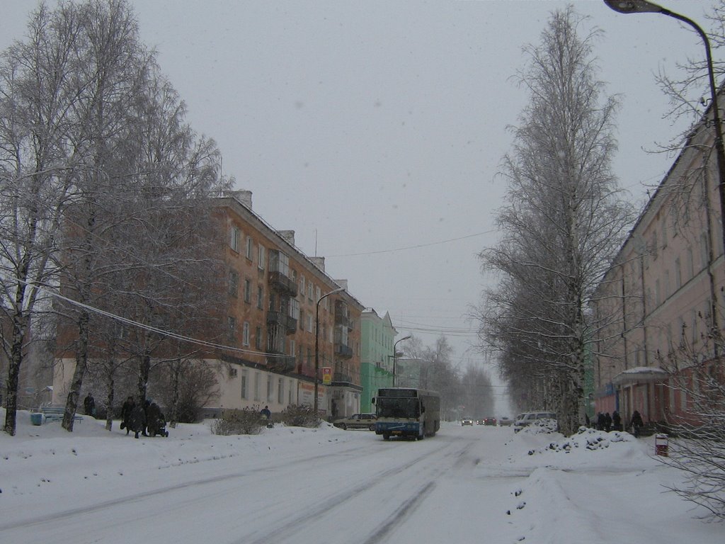 Улица Льва Толстого, Серов