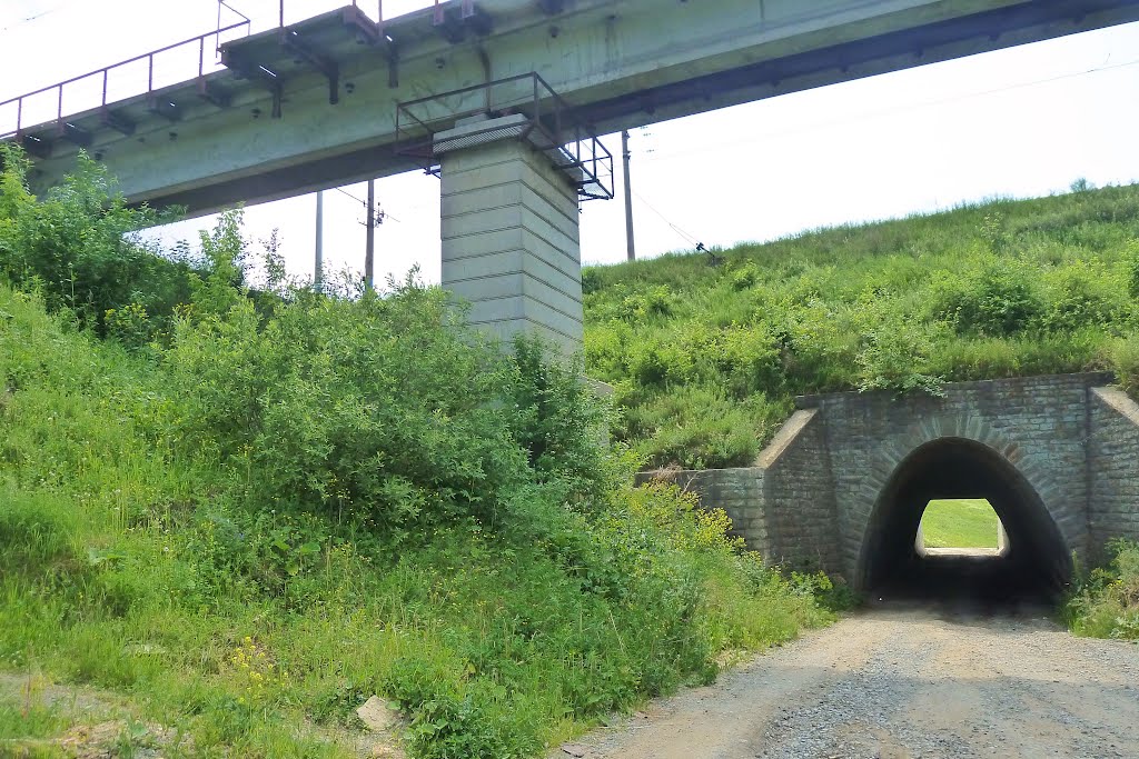Сухой Лог. ЖД мост и тоннель., Сухой Лог