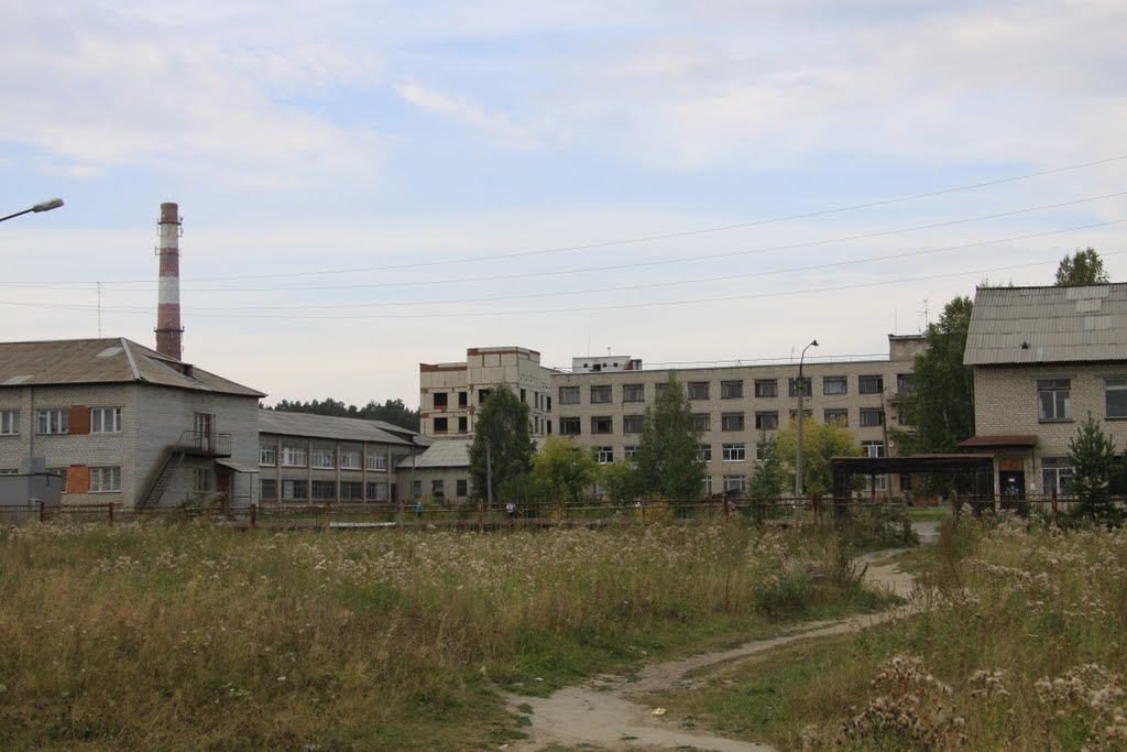 Комплекс зданий районной больницы, Сысерть