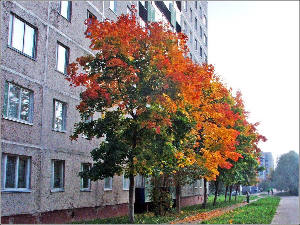 Осень..., Десногорск