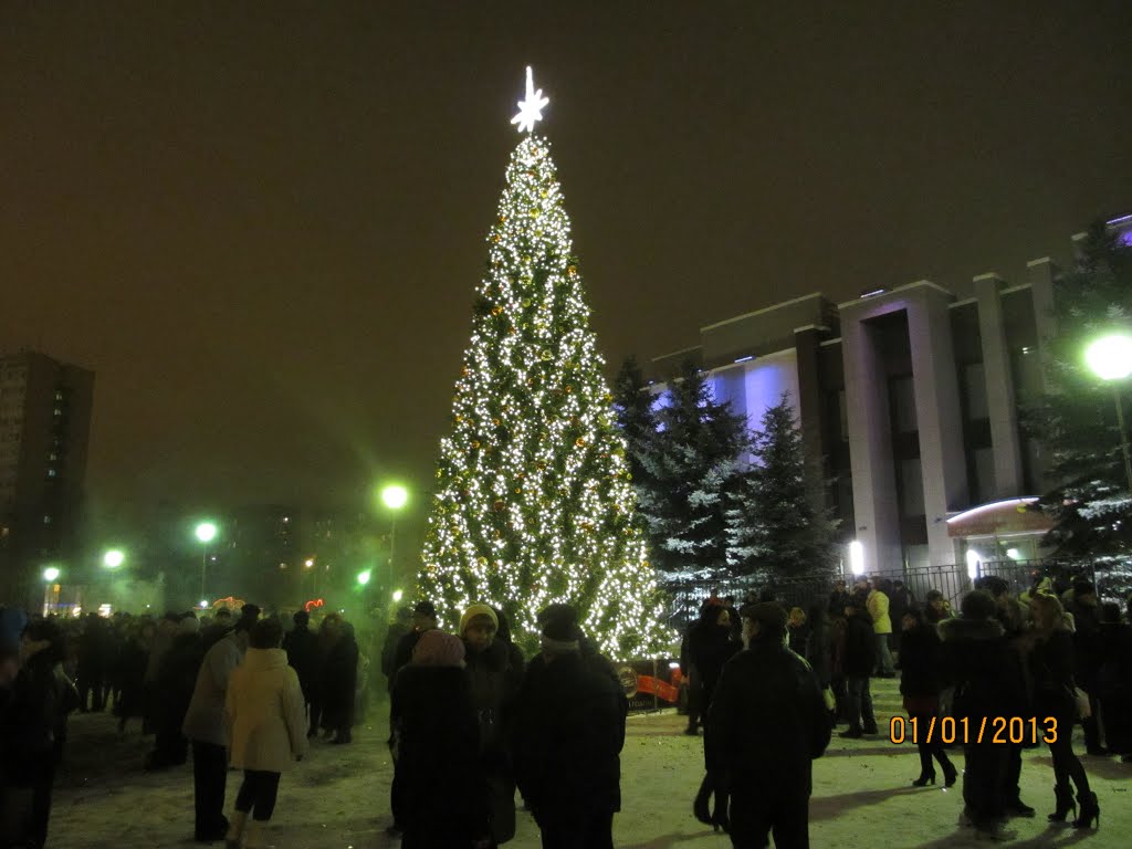 Новый 2013 год!, Десногорск