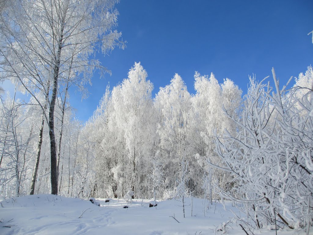 зима, Десногорск