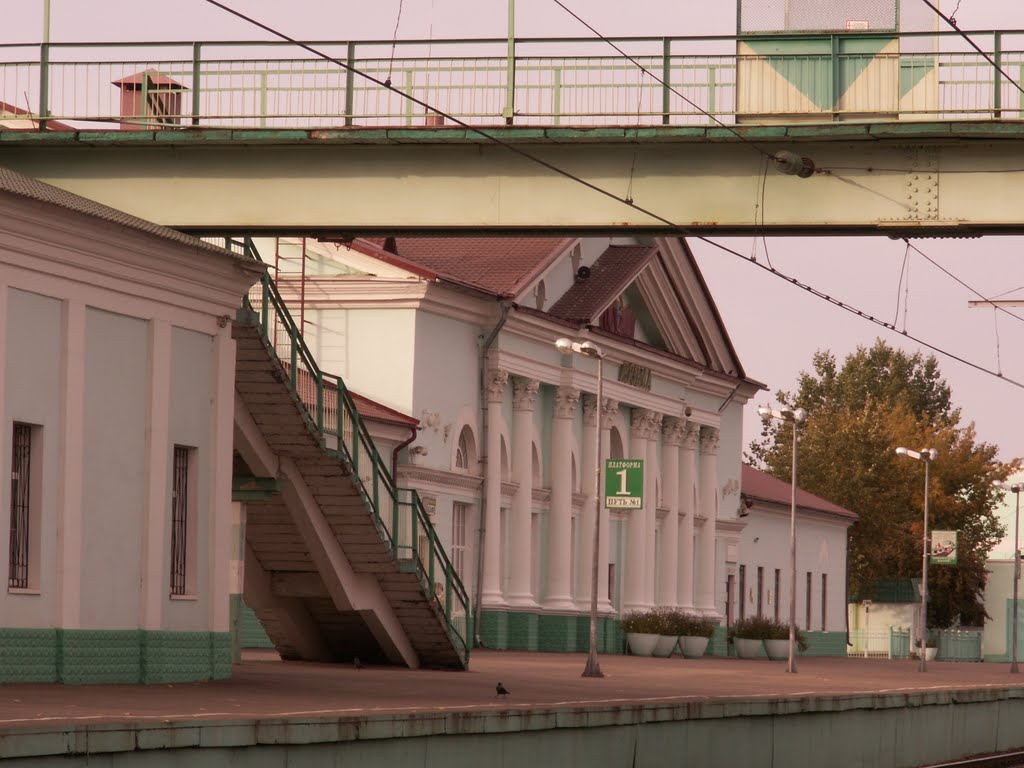 Пешеходный мост и перрон вокзала..., Вязьма
