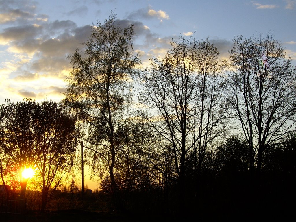 spring sundown, Голынки